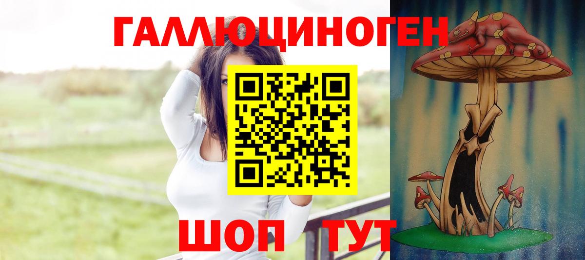 Галлюциногенные грибы Psilocybe  Вход с VPN  Альметьевск 