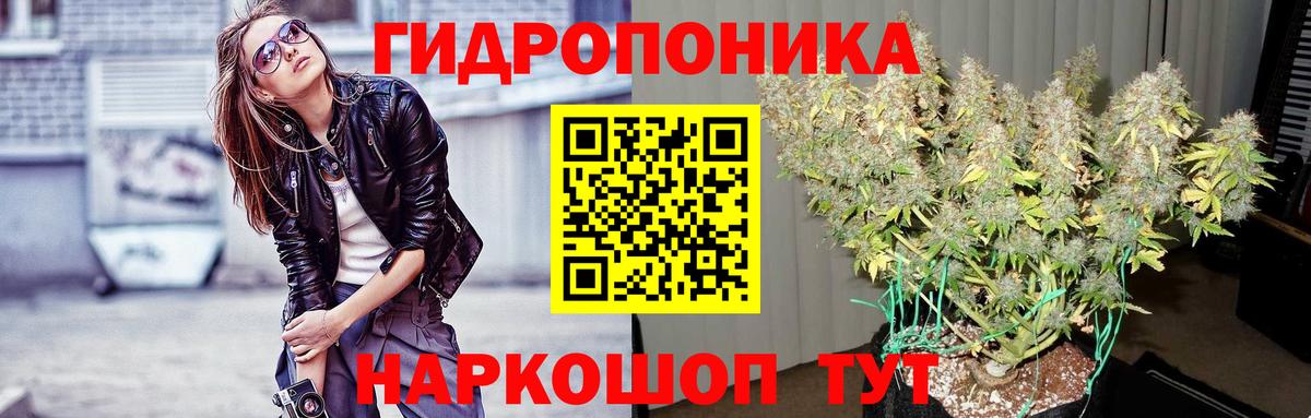 Шишки марихуана семена  Вход с VPN  Канабис индика  Бошки Шишки VHQ  Альметьевск 